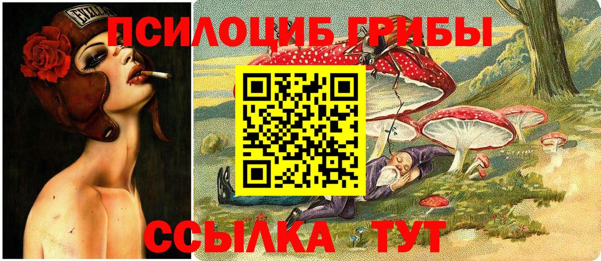 Псилоцибиновые грибы Psilocybine cubensis Воркута