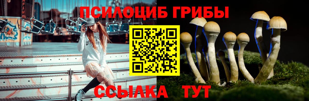 Воркута  Псилоцибиновые грибы ЛСД  Вход с VPN 